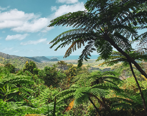 Mount Alexandra Lookout